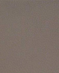 Classic040 Stone by  Maxwell Fabrics 