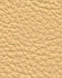 Classic102 Chamois by  Maxwell Fabrics 
