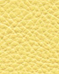 Classic103 Chamomile by  Maxwell Fabrics 