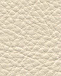Classic104 Creamery by  Maxwell Fabrics 