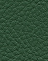 Classic110 Oregano by  Maxwell Fabrics 