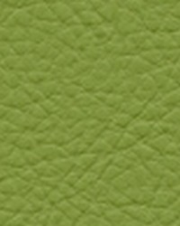 Classic113 Scallion by  Maxwell Fabrics 