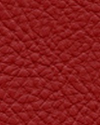 Classic114 Tandoor by  Maxwell Fabrics 