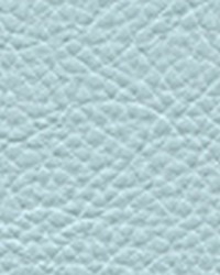 Classic115 Water by  Maxwell Fabrics 