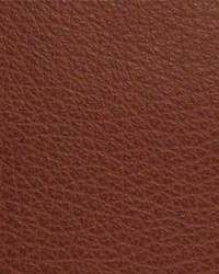 Canyon002 Cordovan by  Maxwell Fabrics 