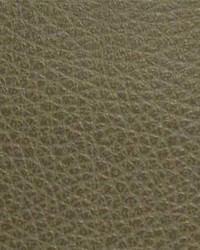 Canyon004 Greystone by  Maxwell Fabrics 