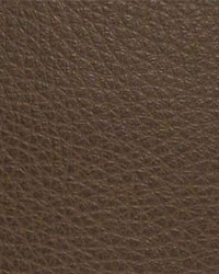 Canyon005 Mudslide by  Maxwell Fabrics 