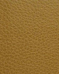 Canyon007 Nugget by  Maxwell Fabrics 