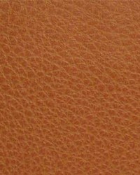 Canyon009 Pumpkin by  Maxwell Fabrics 