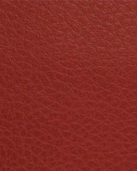 Canyon010 Red Rock by  Maxwell Fabrics 