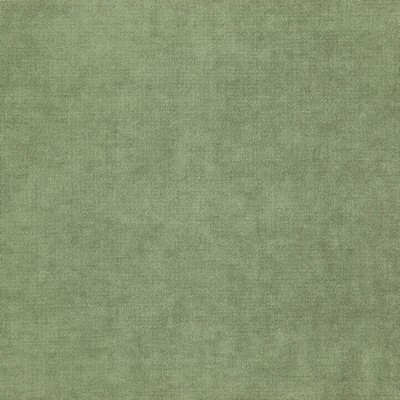 Chadwick 1336 Camouflage in CURLED UP III Upholstery ACRYLIC/42%  Blend Fire Rated Fabric High Performance Fire Retardant Velvet and Chenille   Fabric