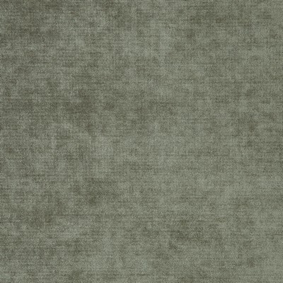 Chadwick 5614 Chinchilla in CURLED UP III Upholstery ACRYLIC/42%  Blend Fire Rated Fabric High Performance Fire Retardant Velvet and Chenille   Fabric