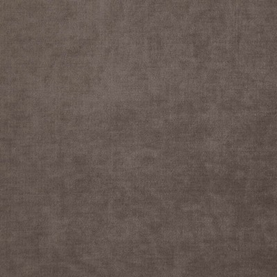 Chadwick 5717 Fossil in CURLED UP III Upholstery ACRYLIC/42%  Blend Fire Rated Fabric High Performance Fire Retardant Velvet and Chenille   Fabric