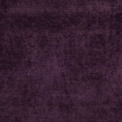 Chadwick 8458 Plum in CURLED UP III Upholstery ACRYLIC/42%  Blend Fire Rated Fabric High Performance Fire Retardant Velvet and Chenille   Fabric