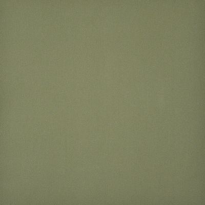 Cambridge 668 Pesto in PURE & SIMPLE V COTTON/ Fire Rated Fabric Canvas  Medium Duty NFPA 260   Fabric