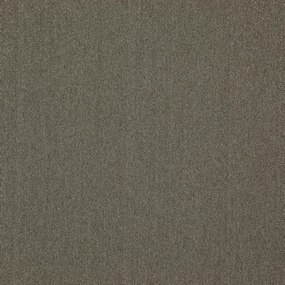 Counting Sheep 953 Gargoyle in DIM OUT I Drapery POLYESTER  Blend Fire Rated Fabric Heavy Duty NFPA 701 Flame Retardant  Flame Retardant Lining  Solid Color Lining   Fabric
