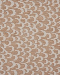 Clair De Lune 401 Rose Gold by  Maxwell Fabrics 