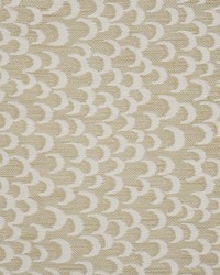 Clair De Lune 633 Bisque by  Maxwell Fabrics 