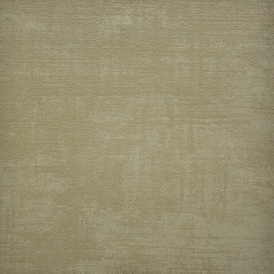Carlotta 713 Branch in VELVET ROOM POLYESTER  Blend Fire Rated Fabric High Performance CA 117  NFPA 260   Fabric
