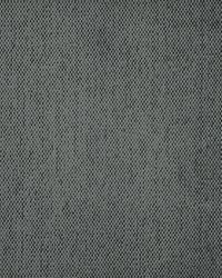 Cornell 133 Shadow by   