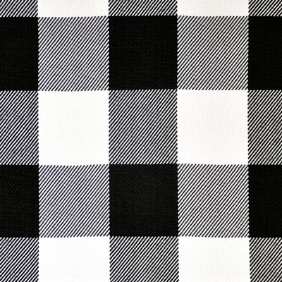 Cube Route 537 Checkers in STRIPES & CHECKS Black Drapery COTTON Buffalo Check  Heavy Duty  Fabric
