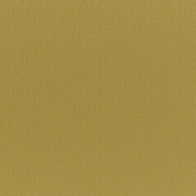 Cadenza 748 Maize in CURLED UP VII Yellow POLYESTER Traditional Chenille  High Wear Commercial Upholstery  Fabric