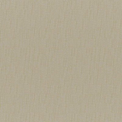 Chico 212 Nougat in COLORGUARD - NOUGAT POLYESTER/32%  Blend High Wear Commercial Upholstery Faux Linen   Fabric