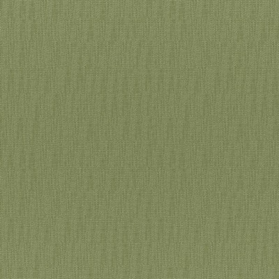 Chico 831 Aloe in COLORGUARD - AMAZONIA Green POLYESTER/32%  Blend High Wear Commercial Upholstery Faux Linen   Fabric