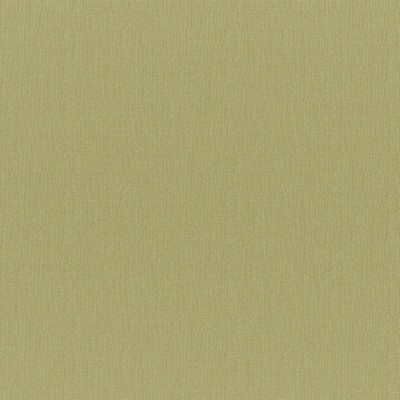 Chico 839 Tea in COLORGUARD - AMAZONIA Green POLYESTER/32%  Blend High Wear Commercial Upholstery Faux Linen   Fabric