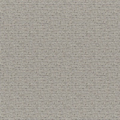 Caracara 245 Sandbar in COLORGUARD - NOUGAT Brown POLYESTER/17%  Blend High Wear Commercial Upholstery  Fabric