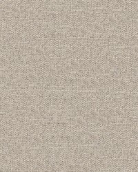 Castor 925 Sponge by   