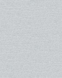 Castor 964 Silver by   