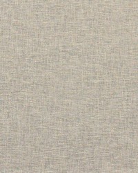 Corsair 413 Dusky by  Anaglypta 