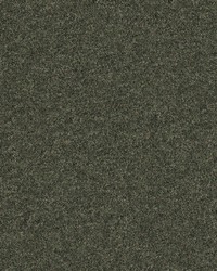 Calabria 414 Pesto by  Maxwell Fabrics 