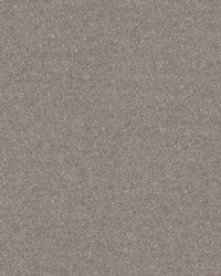Calabria 456 Titanium by  Maxwell Fabrics 