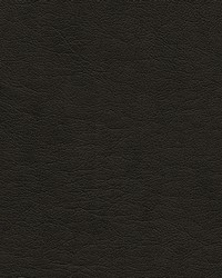 Capulet-nj 1262 Caviar by   