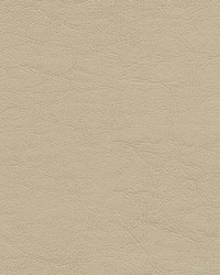 Capulet-nj 1264 Archive by   