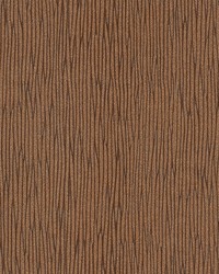 Caruso-nj 444 Bear Cub by   