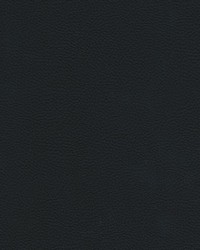 Catalyst-nj 515 Ore by   