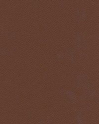 Catalyst-nj 516 Thoroughbred by   