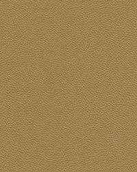 Catalyst-nj 517 Caramel by   