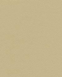 Catalyst-nj 518 Gesso by   