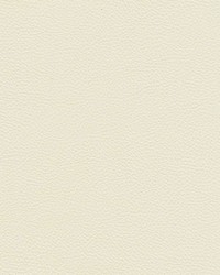 Catalyst-nj 519 Fluff by   