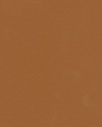 Catalyst-nj 521 Ochre by   