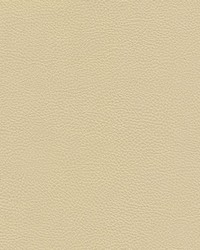 Catalyst-nj 522 Marzipan by   