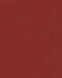 Catalyst-nj 523 Ribbon by   