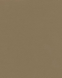 Catalyst-nj 524 Chinchilla by   