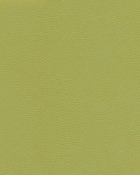 Catalyst-nj 525 Citrus by   