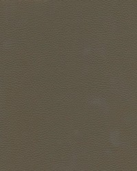 Catalyst-nj 526 Fungi by   