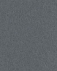 Catalyst-nj 527 Rain by   